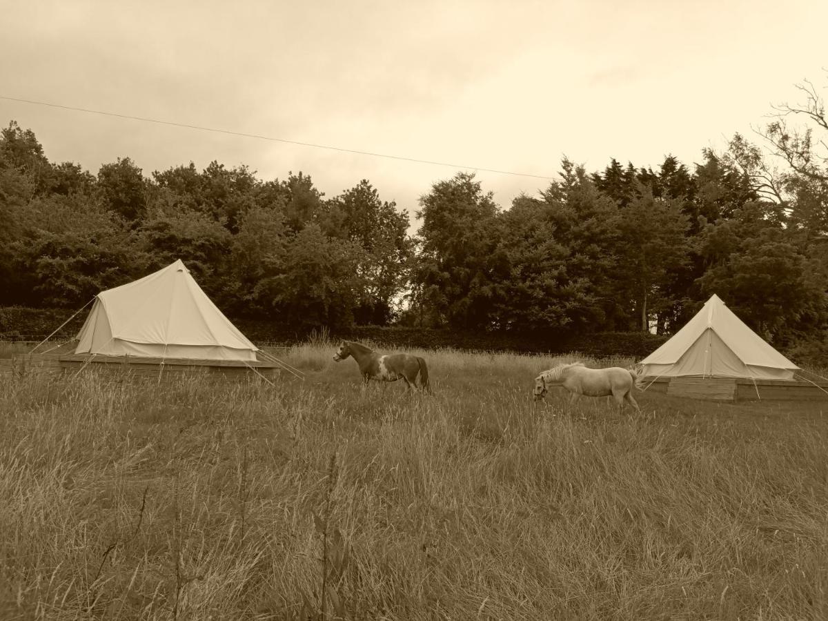 Ferry House Holidays New Ross Rom bilde